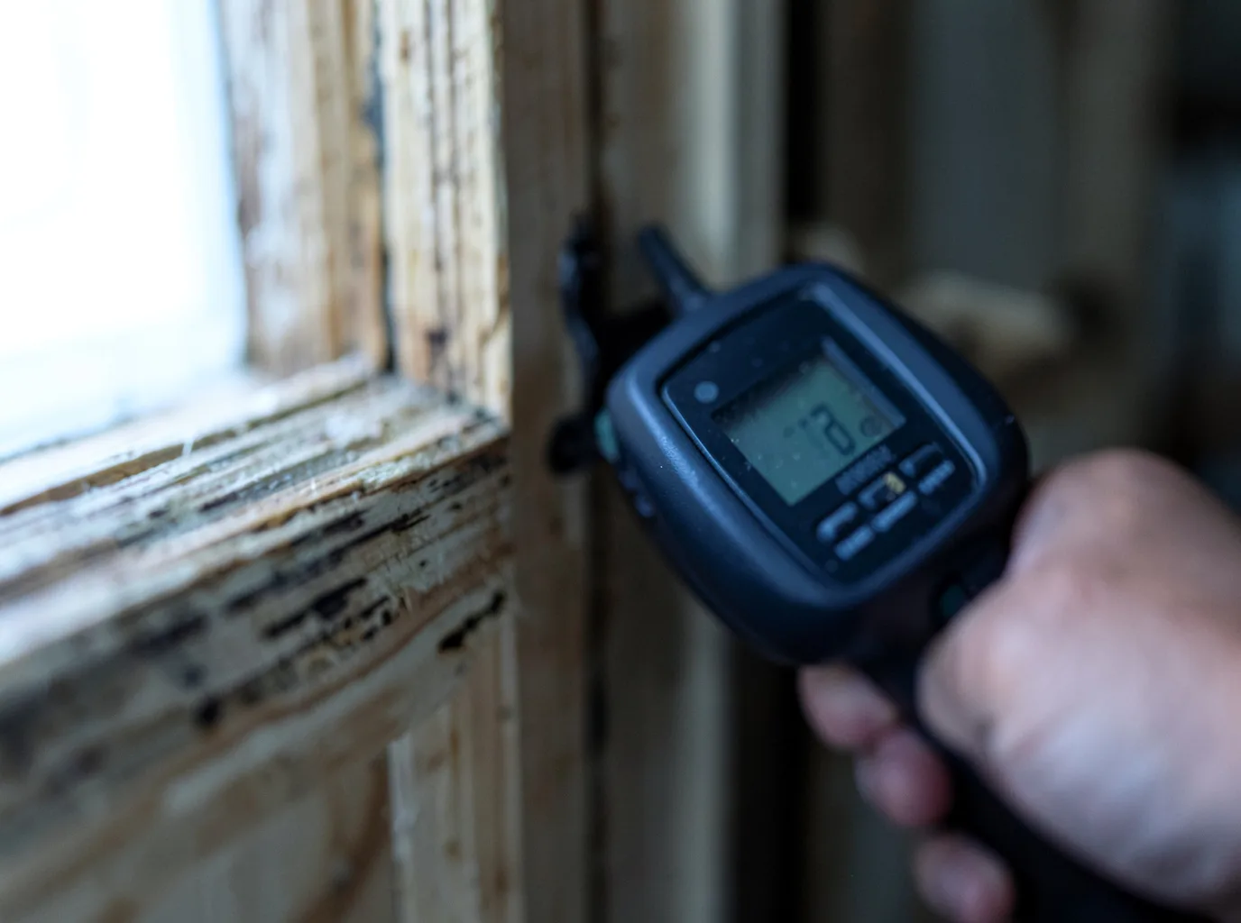 Moisture Inspection And Documentation in Holmes Mill, KY
